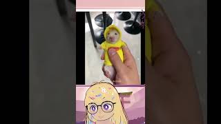 ELFY REACCIONA A RATA SUPREME #vtuber #aterrador #twitch #humor #clips #memes #streamer