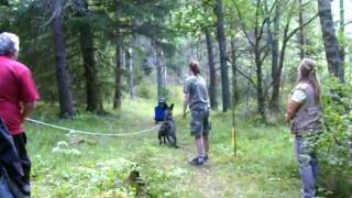 Bild 030.avi