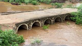 There's a lot of water in the stream after the rain.