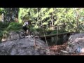 Trails offer views and thrills on Virginia Key