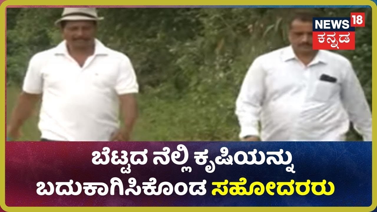 ಅನ್ನದಾತ | ಬೆಟ್ಟದ ನೆಲ್ಲಿಕಾಯಿಯನ್ನು ಪ್ರಮುಖ ಬೆಳೆಯಾಗಿ ಮಾಡಿ ಸಾಕಷ್ಟು ಆದಾಯ ಪಡೆಯುವುದು ಹೇಗೆ ಗೊತ್ತಾ?