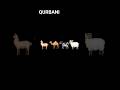 AWKIA QURBANI #mindset #facts#game#puzzle#trendingshorts#mathmindset#roblX#happy#mindgames#ytshorts