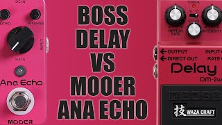 Boss DM-2W VS Mooer Ana Echo (Analog Delay Comparison)