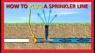 How to Locate and Cap or Plug an Underground Sprinkler Line  At the Head or Anywhere