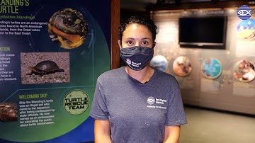 Virtual Visit: Blanding