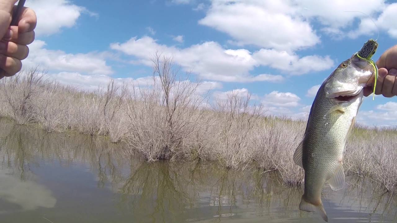 SE New Mexico Bass Fishing YouTube