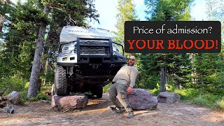 Remote Montana campsite infested with the world's most dangerous animal!  I was ill prepared.