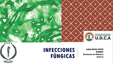 ¿Cómo se transmiten las infecciones fúngicas?