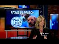 KATV: Paws In Prison