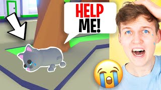 LANKYBOX React To A SAD STRAY CAT ANIMATION In ADOPT ME! (WE CRIED!)