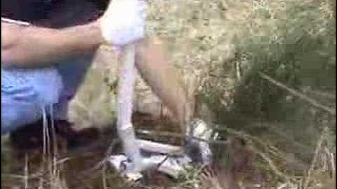 Pullerbear Tree and Weed Puller Demonstration