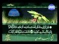 القرآن الكريم - الجزء الخامس والعشرون - تلاوة سعد الغامدي - 25