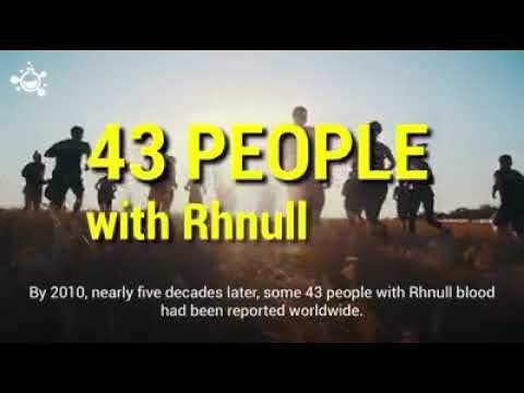 Rhnull Is The Rarest Blood Type On Earth Only 43 People Have It Goldenblood Youtube Rhnull Is The Rarest Blood Type On Earth Only 43 People Have It Goldenblood Youtube