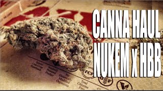 CANNA HAUL - NUKEM x HONEY BOO BOO