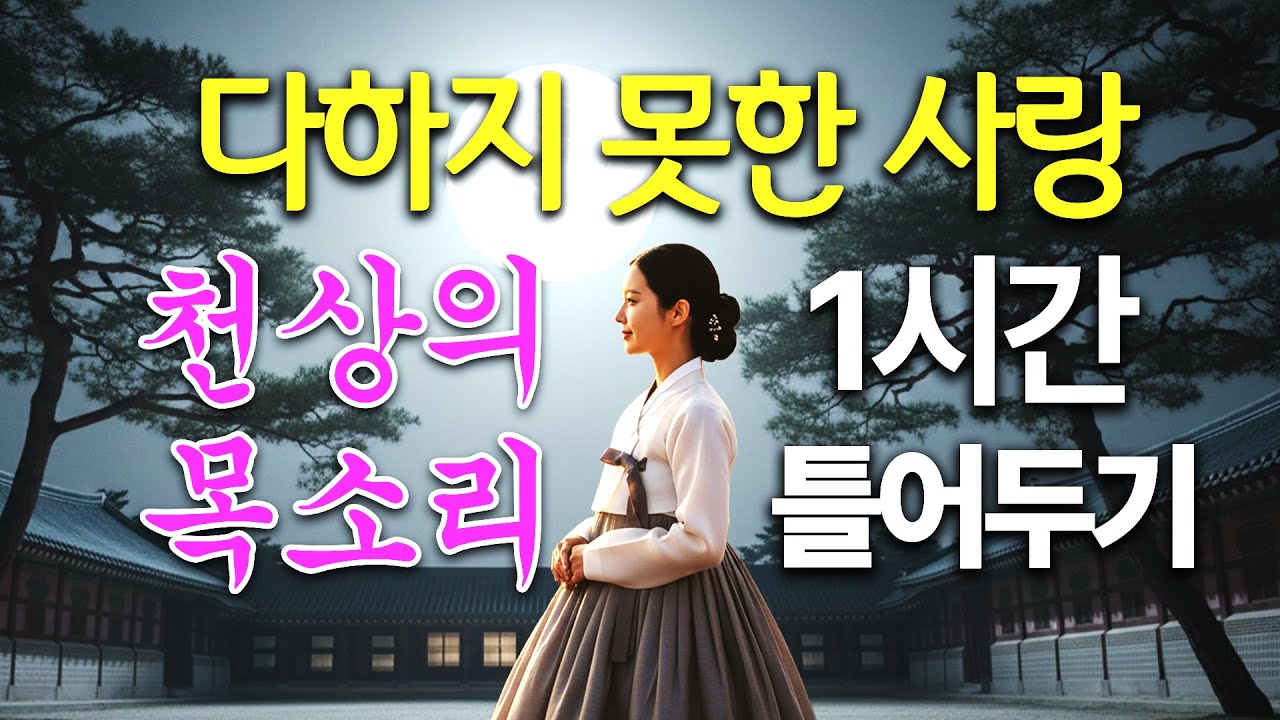 1시간 | 다하지 못한 사랑 | 끝내 지우지 못한 사랑 #트로트발라드 #짝사랑 #노래