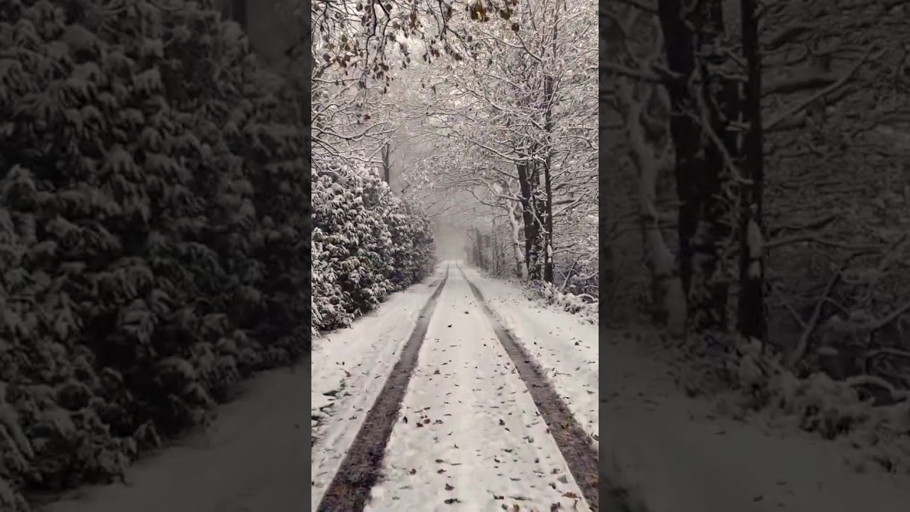 Nature's Splendor - Part 4 