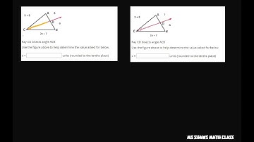 Given Triangles are Bisected find the value of x
