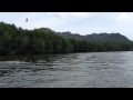 Langkawi Eagle Feeding @ Mangrove