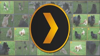 How to Store and View Your Photo Collection In Plex Media Server