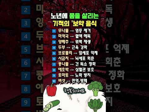 "영양제보다 낫습니다" 의사가 추천하는 기적의 보약 음식