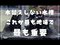 【45cm水槽】放置管理できる水草レイアウト立ち上げの低床作り【アクアリウム】