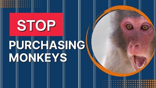 Download Lagu Stop Buying Baby Monkeys as Pets - Monkey Conservation