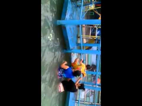 Ibu hamil berenang - YouTube