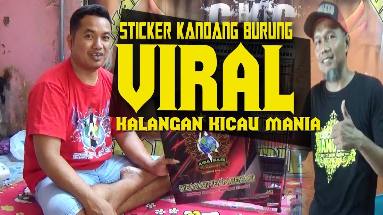 Viral Sticker Kandang Burung Kalangan Kicau Mania Menjamur Youtube