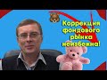 Александр Баулин - Коррекция фондового рынка неизбежна!