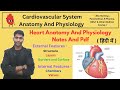Heart anatomy & physiology in hindi |Structure | Layers | Border | Surface | Chamber | Valve