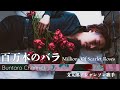 百万本のバラ 【文太郎/BUNTARO chanson 】