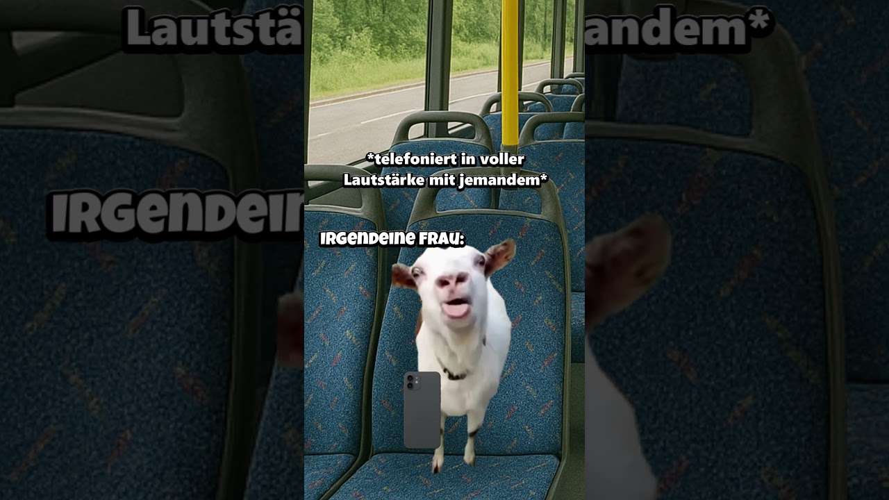 POV: Du fährst einmal mit dem Bus😭 