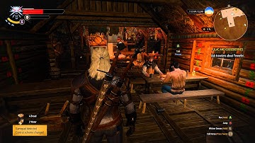 The Witcher 3 ShadowPlay Test