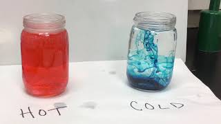 Molecular Motion Lab