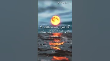 سورة الاحزاب من  آية 38 إلى آية 40 بصوت الشيخ ياسر الدوسري♥♥