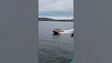 Bainbridge ferry