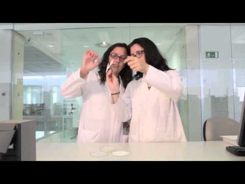 PHBOTTLE develops a biodegradable material (PHB) by fermentation of food industry by-products