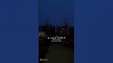 #قران_كريم #بصوت_القارئ #ياسر_الدوسري #راحة_القلوب #راحة_نفسية #تدبر_القرآن_الكريم #تلاوة_خاشعة