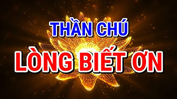 THẦN CHÚ LÒNG BIẾT ƠN - Phương thuốc kỳ diệu.