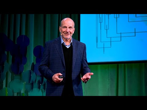 Can lessons from the dinosaurs save us from another mass extinction? | Kenneth Lacovara | TEDxBoston Episode cover