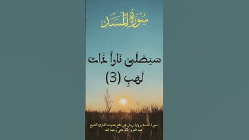 سورة المسد #قرآن_كريم #المصحف #حفظ_القرءان