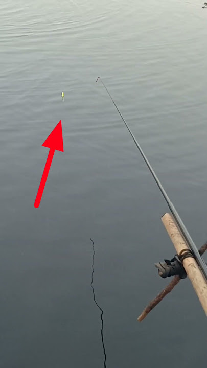 mancing pake tegeg, pelampung nya nyelup#short