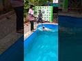 Oscar The Retriever #shortsfeed #shortsvideo #shorts #hyderabad #dogpool #pets