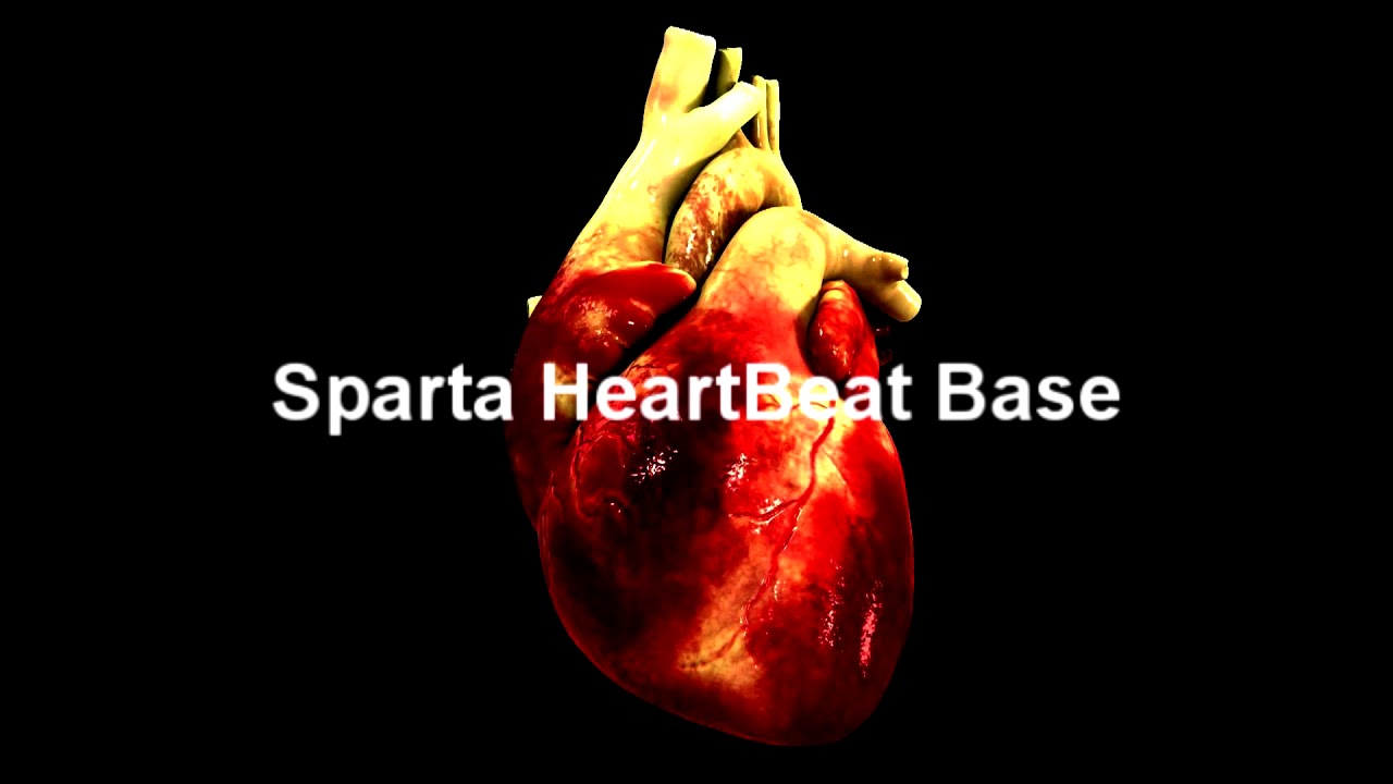 Sparta HeartBeat Base - Sparta HeartBeat Base