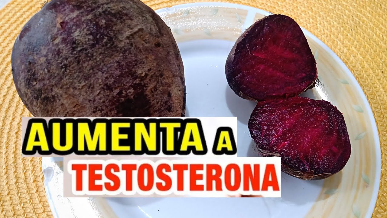 BETERRABA AUMENTAR A TESTOSTERONA? SUCO DA BETERRABA AUMENTAR A ...