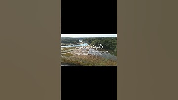 قاتلوهم يعذبهم الله بأيدكم محمد اللحيدان سورة التوبة#المصحف