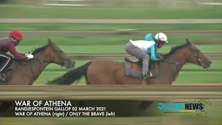 WAR OF ATHENA'S GALLOP