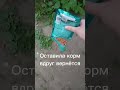 Куда он мог уйти? #рекомендации #бездомныйкот #чтосактивом