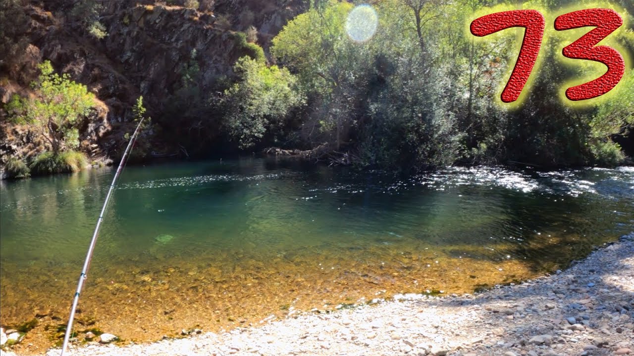 Despedida de la temporada 2022: Última mañana de pesca || 73