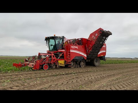 Een drukke dag bietenrooien. ??????